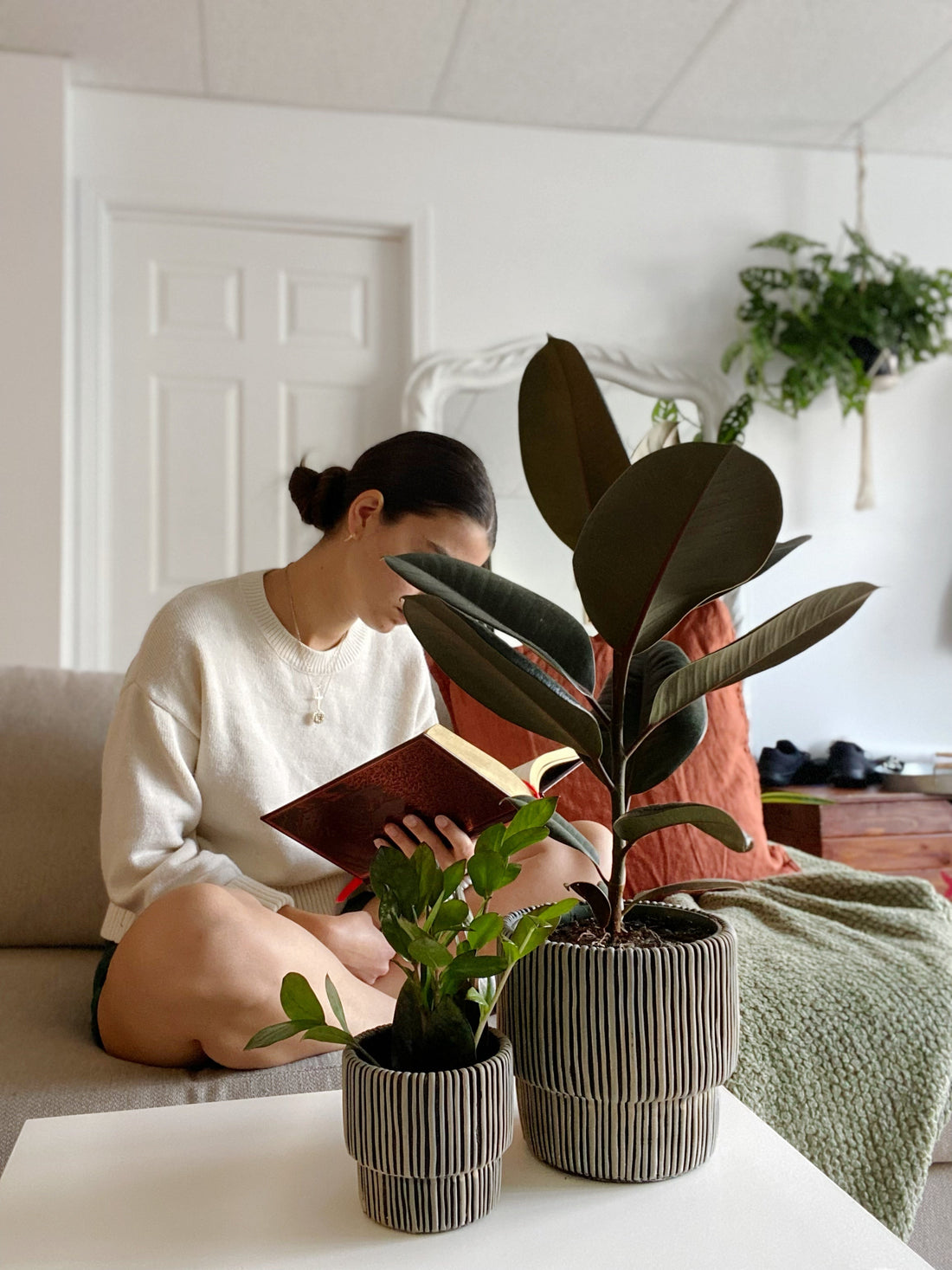 Les plantes : un remède naturel contre le stress