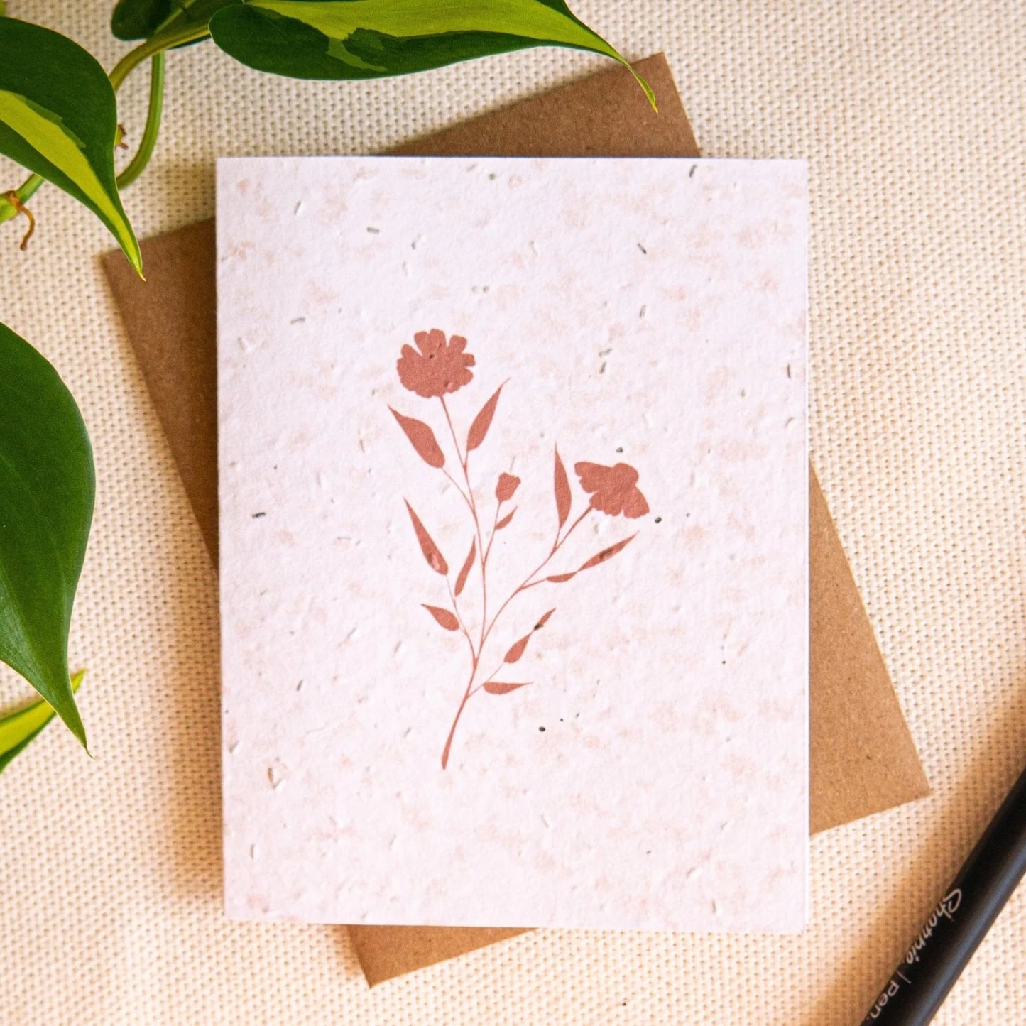 Carte à planter | Marguerites