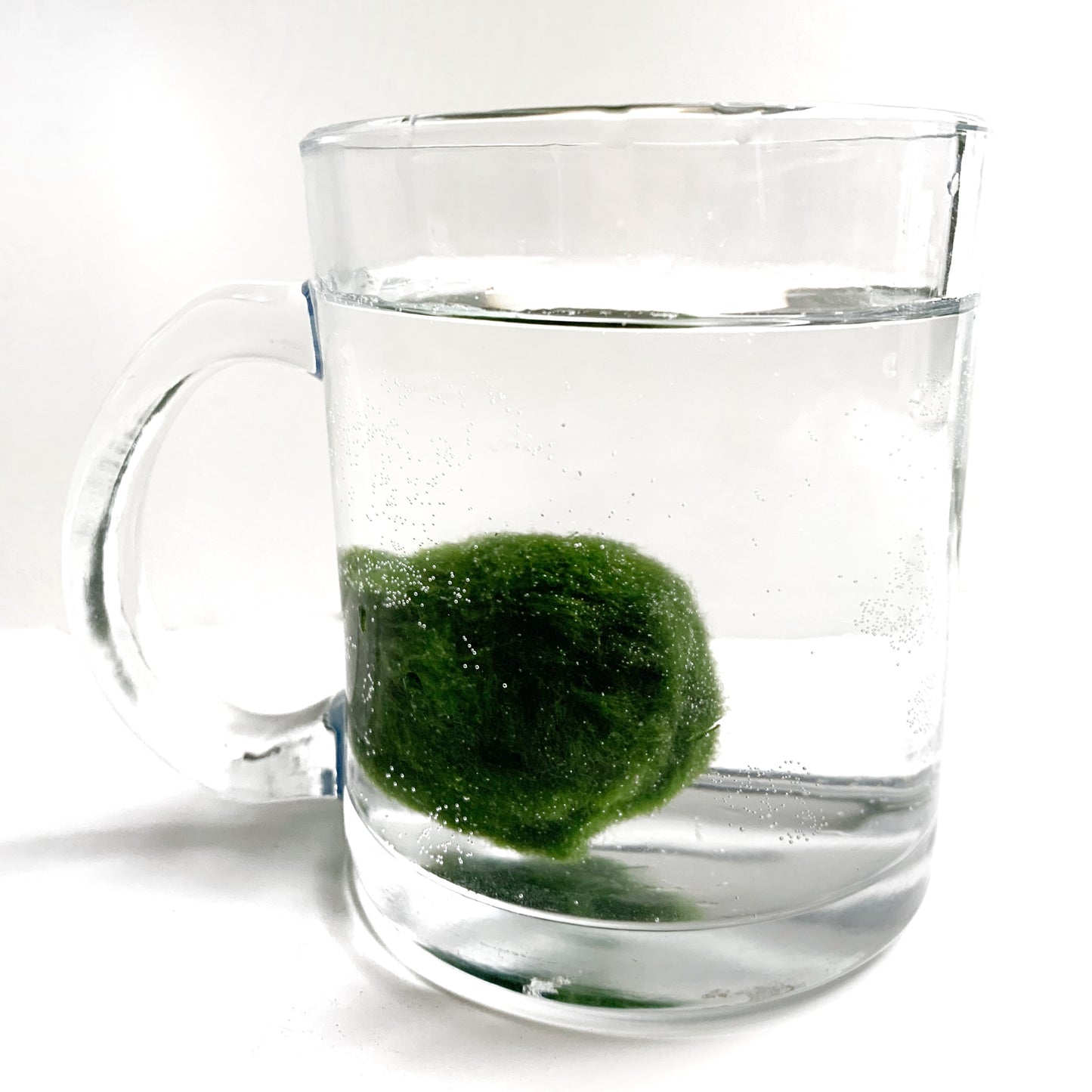 Boule de mousse MARIMO